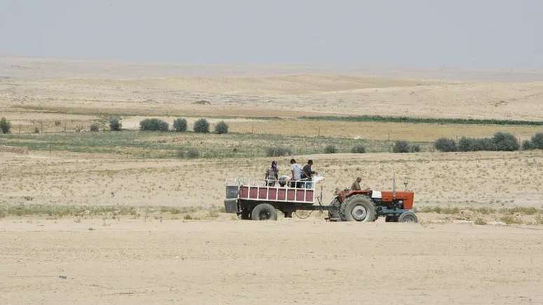 Agricultores dirigindo trator na regi&atilde;o de Hasaka, na S&iacute;ria, afetada pela seca, em 2010