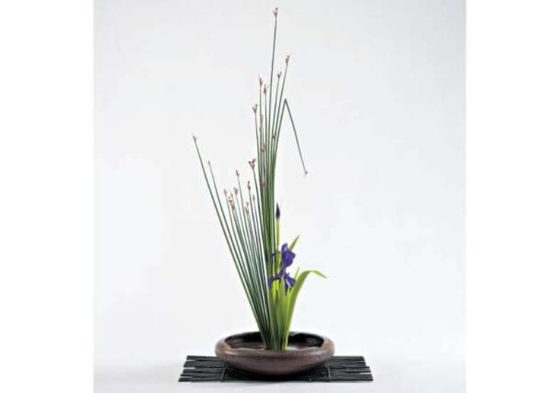 52. Arte ikebana com flores lindas &ndash; Foto Shozo Sato