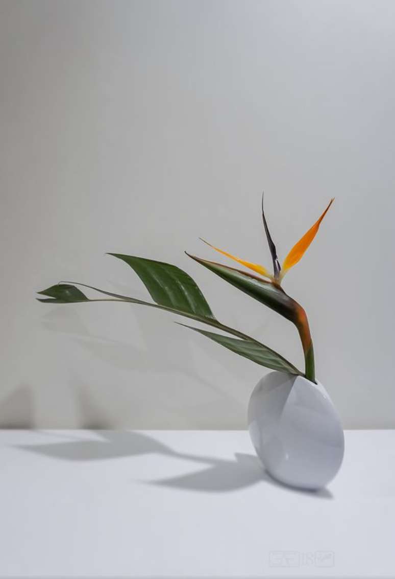 43. Vaso branco com flores em ikebana &ndash; Foto Hanakuma