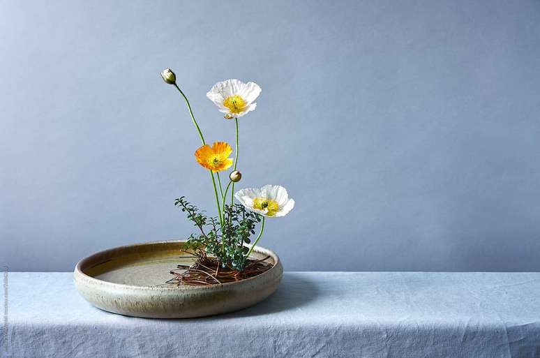 19. Ikebana arte de arranjos &ndash; Foto Juno for Stocksy United