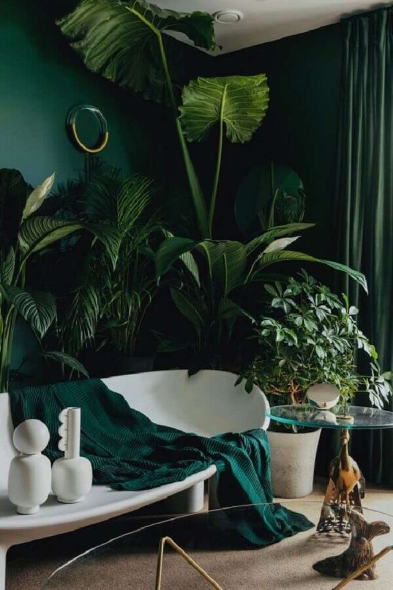 6. Plantas para decoração cor verde de sala com sofá branco moderno – Foto: Planète Déco