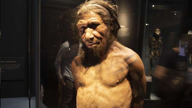 Reconstrução do corpo de um neandertal