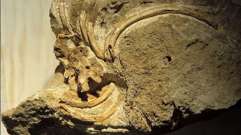 Alguns ossos de neandertais revelam as consequências de sérios danos físicos