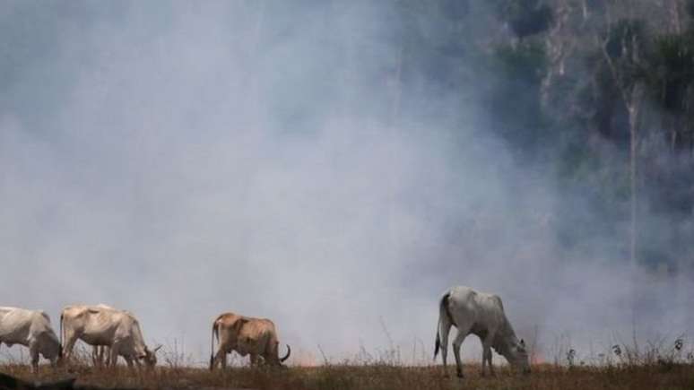 Proteção ambiental é uma das principais bandeiras da atual geração de adolescentes. Postura do governo brasileiro em relação à Amazônia tem reduzido a popularidade do Brasil entre os jovens, diz Anholt