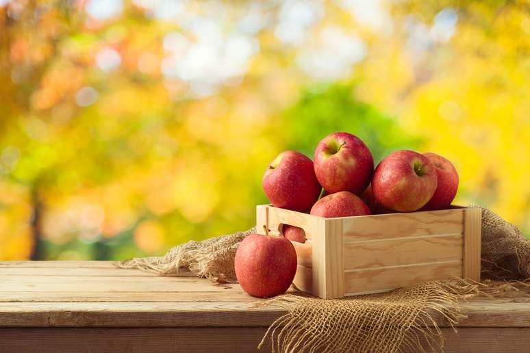 Aplicativo com IA mostra quantas calorias tem um prato, apenas com uma  foto; entenda