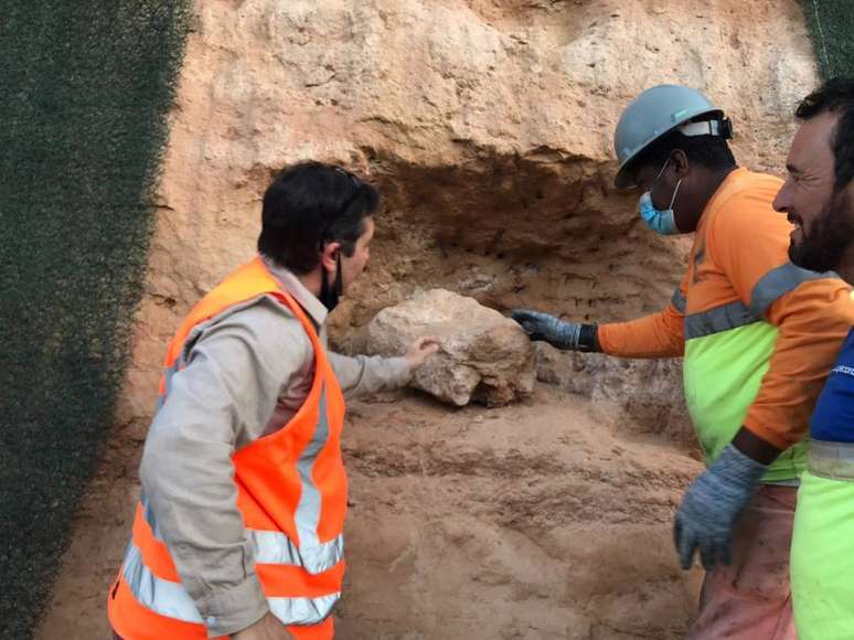 Equipe conclui escavação para retirada de fóssil em Marília, no interior de São Paulo