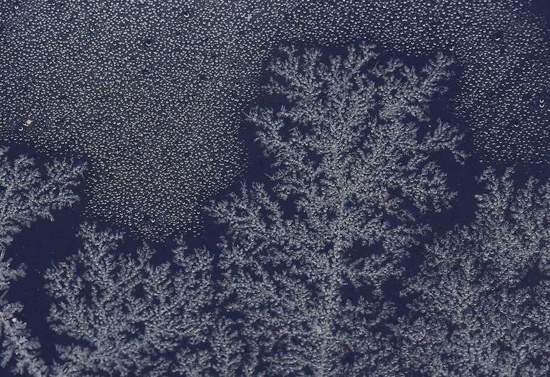 13/02/2021. REUTERS/Toby Melville