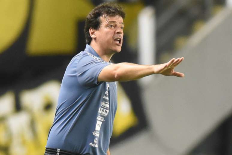 O técnico Fernando Diniz elogiou o desempenho do Santos diante da Juazeirense (FOTO: Ivan Storti)