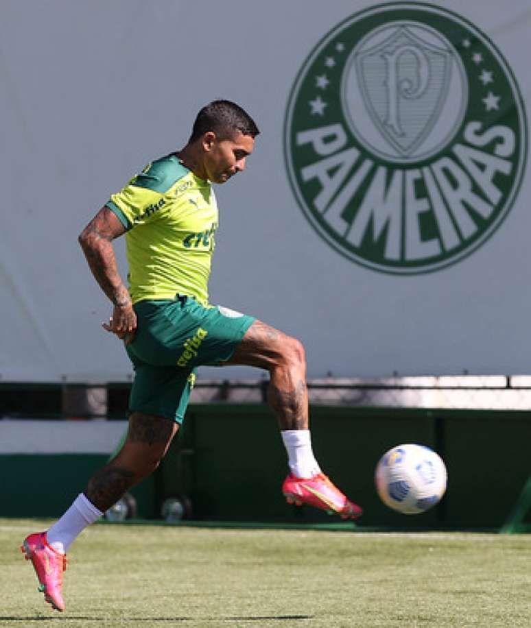 (Foto: César Greco/Ag. Palmeiras)