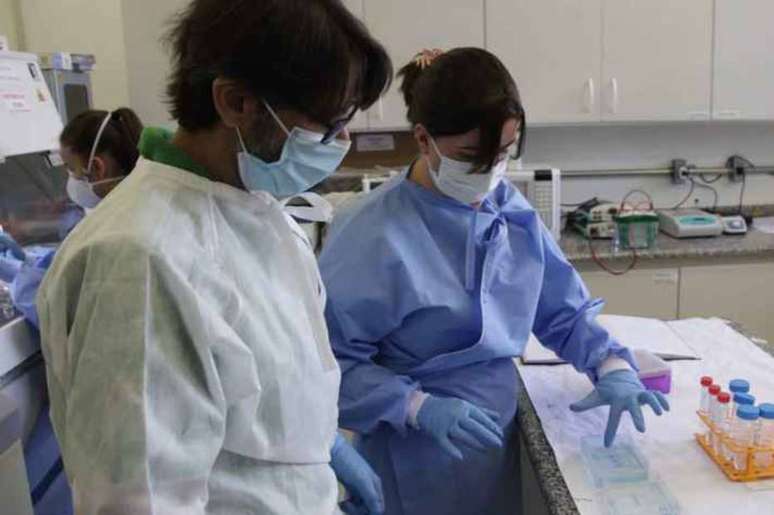 Pesquisadores da UFMG estão desenvolvendo uma possível vacina contra a covid-19