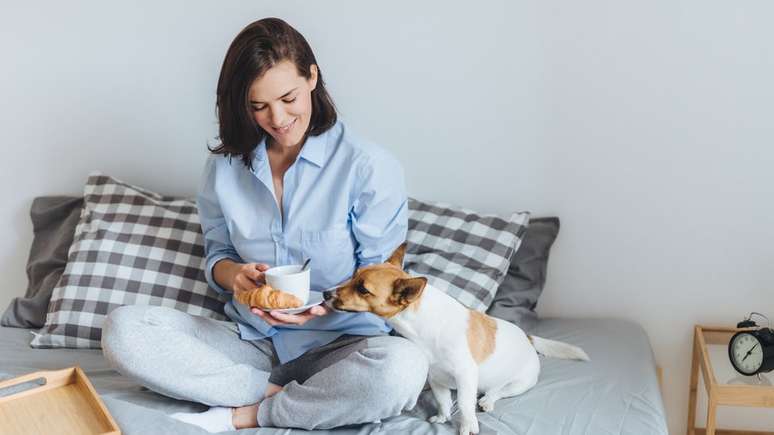 Evite comer na cama e deixar que os animais de estimação subam nela