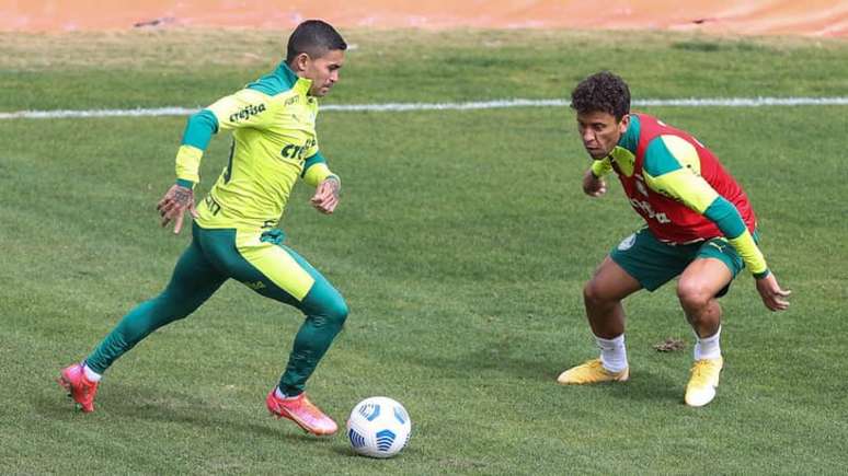 Dudu treinou sem restrições após desfalcar o Palmeiras no Choque-Rei (Foto: César Greco/Ag. Palmeiras)