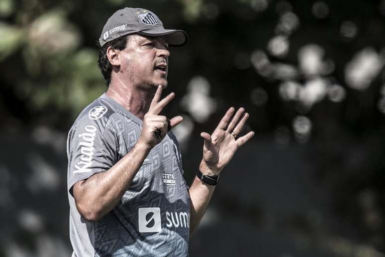 Fernando Diniz não poderá contar com Marinho e Luiz Felipe contra a Juazeirense (FOTO: Ivan Storti/Santos FC)
