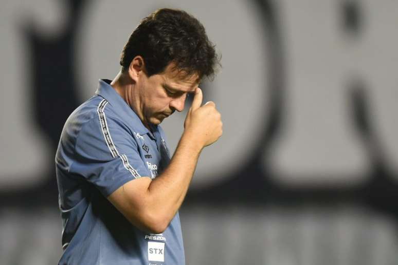 Peixe de Diniz está invicto na Copa do Brasil (Foto: Ivan Storti/Santos FC)