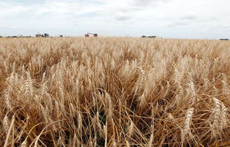 Colheita de trigo na Argentina 
14/10/2020
REUTERS/Enrique Marcarian