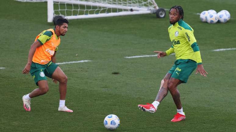 Rony e Luiz Adriano se recuperaram de lesões e podem jogar pelo Palmeiras (Foto: Cesar Greco)