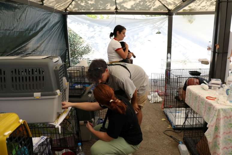 Voluntários em abrigo de animais resgatados após fogo em Atenas
8/8/2021 REUTERS/Louiza Vradi