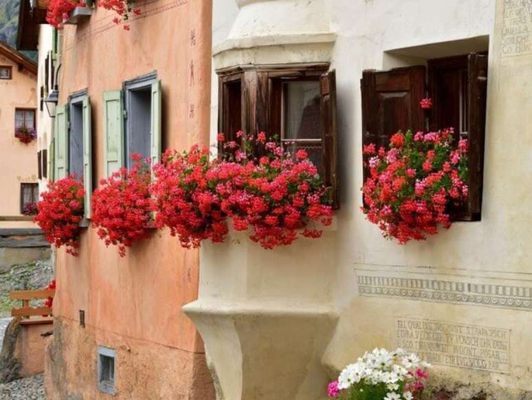 24. Janela decorada com ger&acirc;nio em tons de vermelho e rosa &ndash; Foto Albert Ceolan