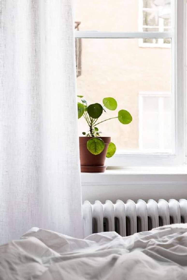 10. A Pilea &eacute; uma planta simples que rouba a cena na decora&ccedil;&atilde;o. Fonte: Pinterest
