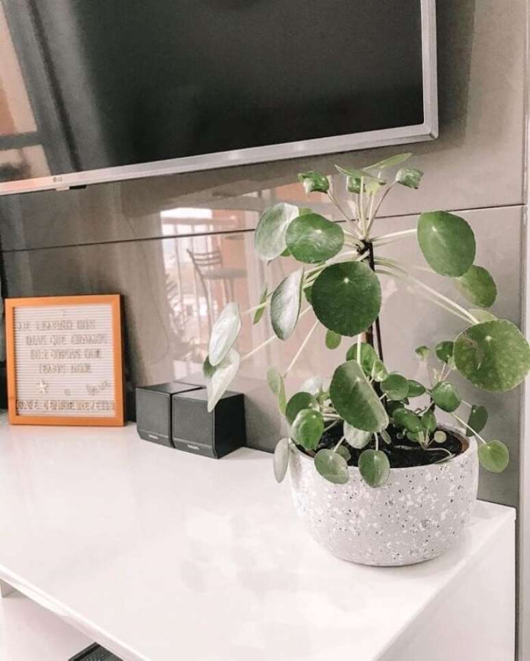 8. A Pilea traz um toque de verde para a decora&ccedil;&atilde;o da sala de estar. Fonte: Home Ap&ecirc; 113