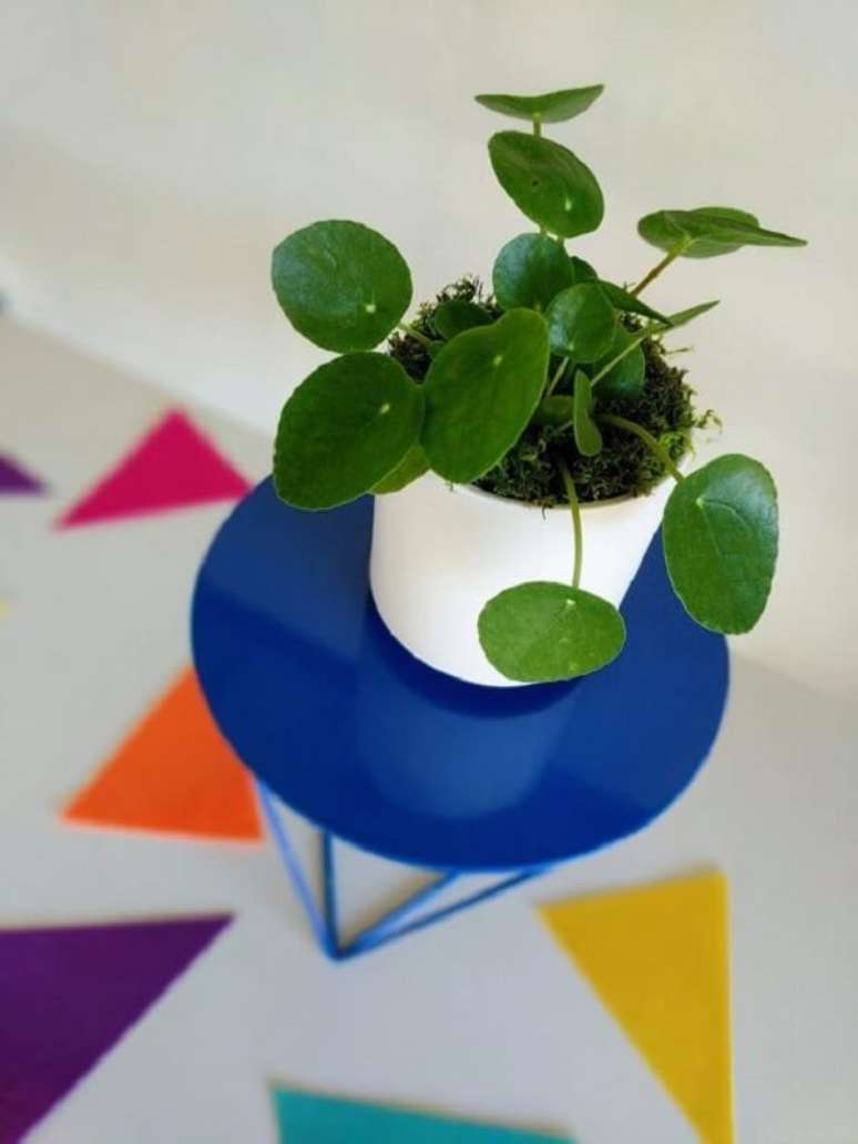 20. A Pilea peperomioides tamb&eacute;m &eacute; conhecida como planta chinesa do dinheiro. Fonte: Pinterest