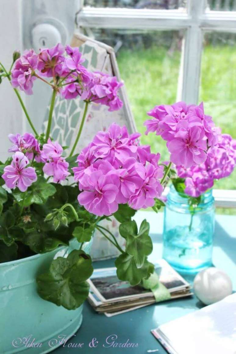 46. Casa decorada com ger&acirc;nios &ndash; Foto warren Grove Garden