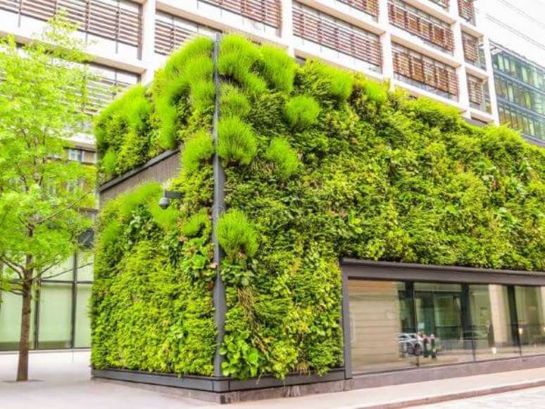 7. Projeto de arquitetura ecol&oacute;gica &ndash; Foto Dreamstime