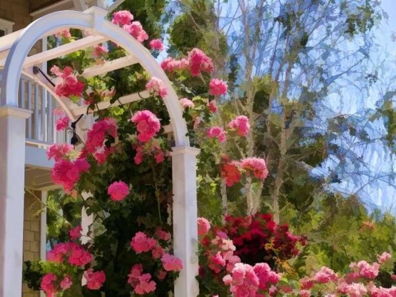 31. Jardim decorado com flores de gerânio rosa – Foto Public Domain Pictures