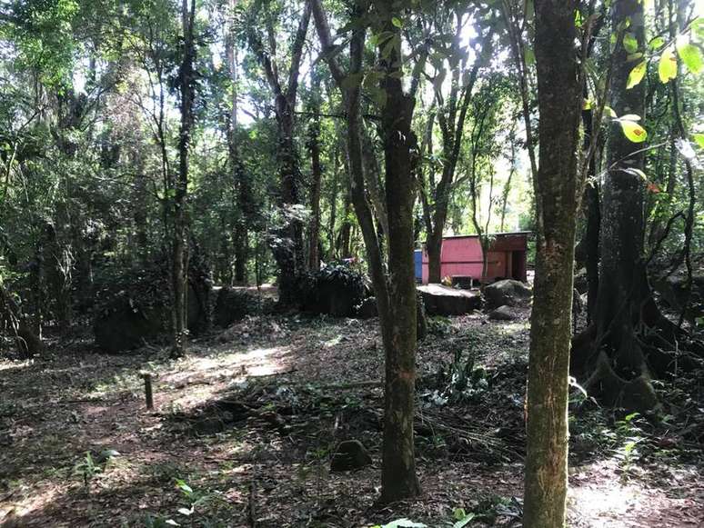 Operação contra ocupação irregular demole barraco em área de preservação em Ilhabela