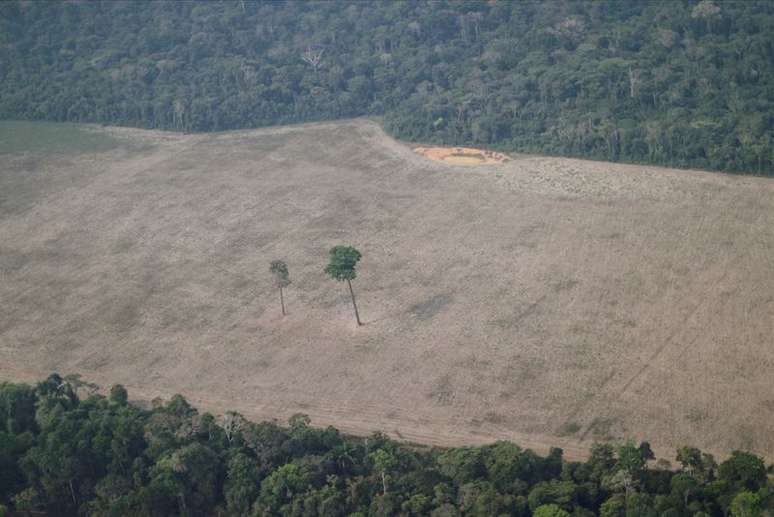 Vista aérea de área desmatada da Amazônia perto de Porto Velho, em Rondônia
14/08/2020 REUTERS/Ueslei Marcelino