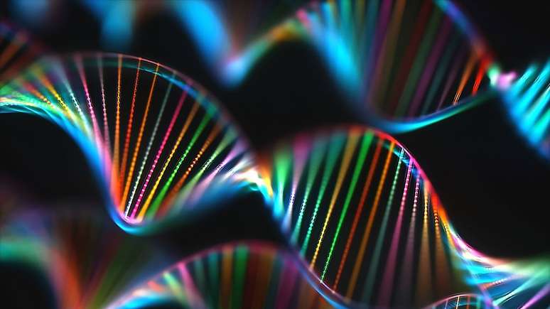 O DNA permanece enrolado helicoidalmente em um espa&ccedil;o m&iacute;nimo