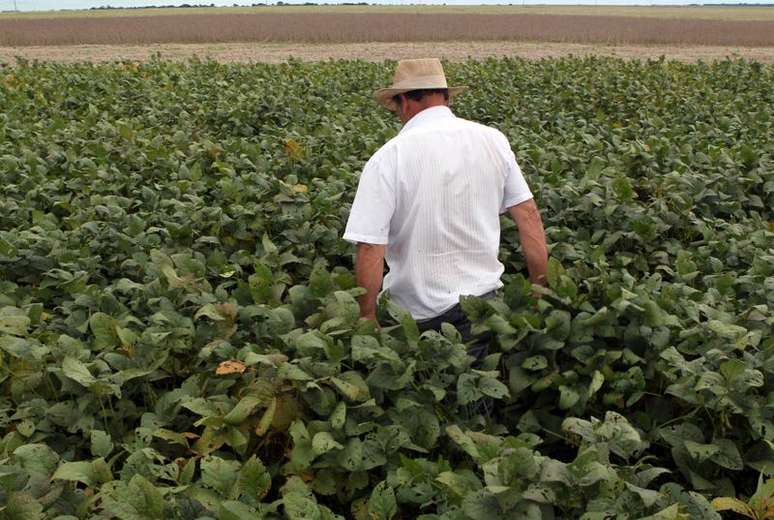 Agricultor em meio a lavoura de soja em Primavera do Leste (MT) 
07/01/2013
REUTERS/Paulo Whitaker 