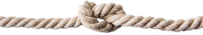 Os n&oacute;s s&atilde;o essenciais &agrave; nossa pr&oacute;pria exist&ecirc;ncia, segundo conclu&iacute;ram pesquisadores