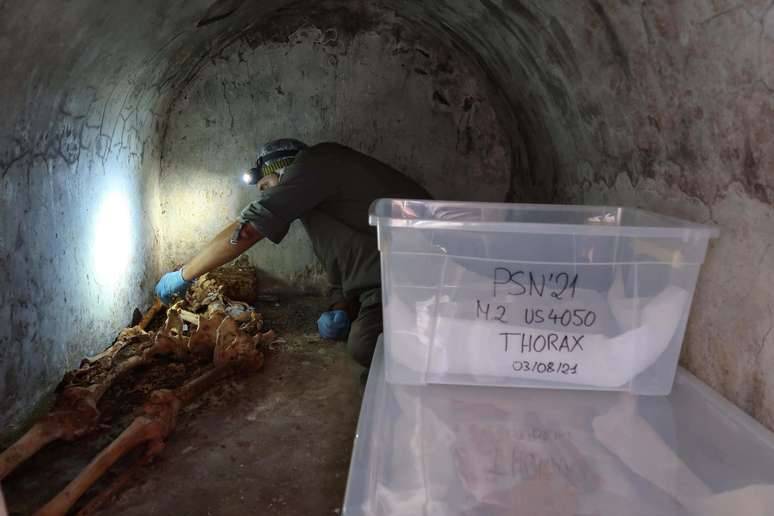 Arqueologista analisa a múmia encontrada em Pompeia 