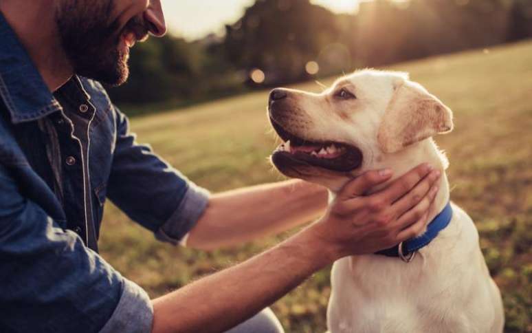 Questionário do Dia da Terra revela seu lado animal