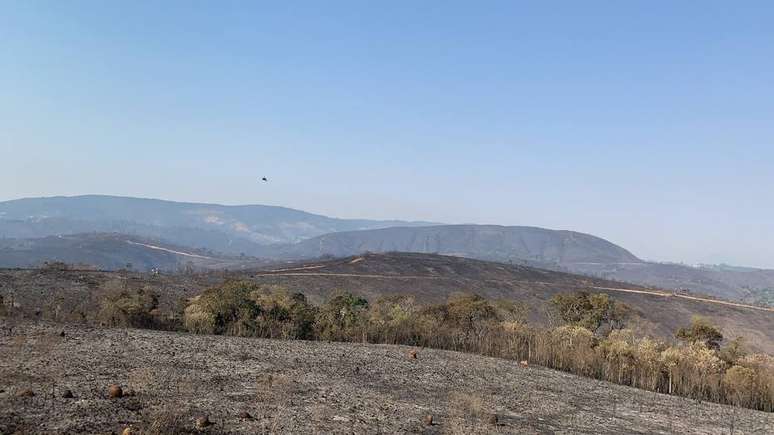 Incêndio iniciado no domingo já destruiu 65% da extensão do Parque do Juquery, o equivalente a cerca de 1.200 hectares.