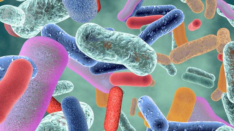 A microbiota intestinal é composta por milhares de espécies de microrganismos que vivem no nosso trato digestivo