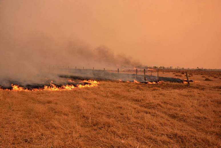 No Pantanal, Corpo de Bombeiros do Mato Grosso do Sul toca cinco Operações de Combate a incêndios florestais nesta segunda-feira