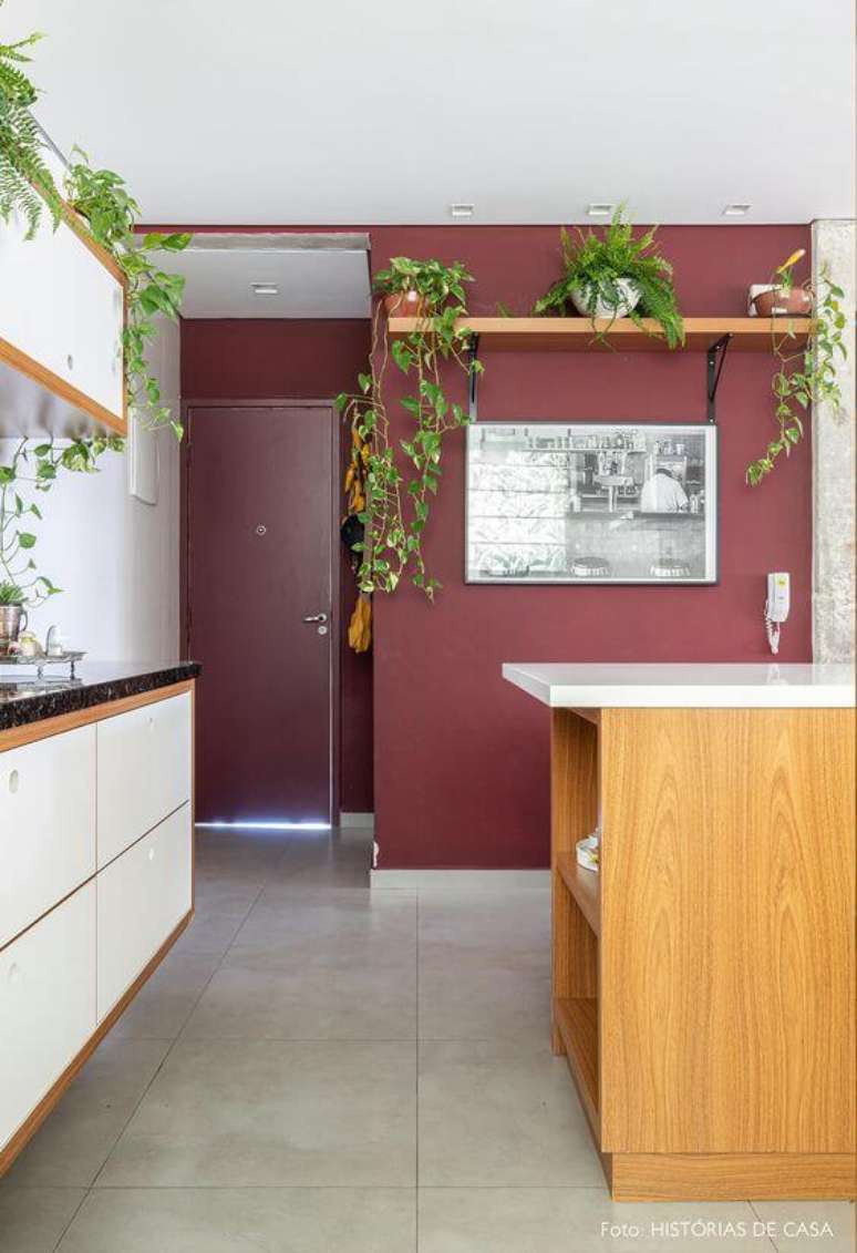 4. Parede cor vinho na cozinha moderna decorada com plantas – Foto Histórias de Casa