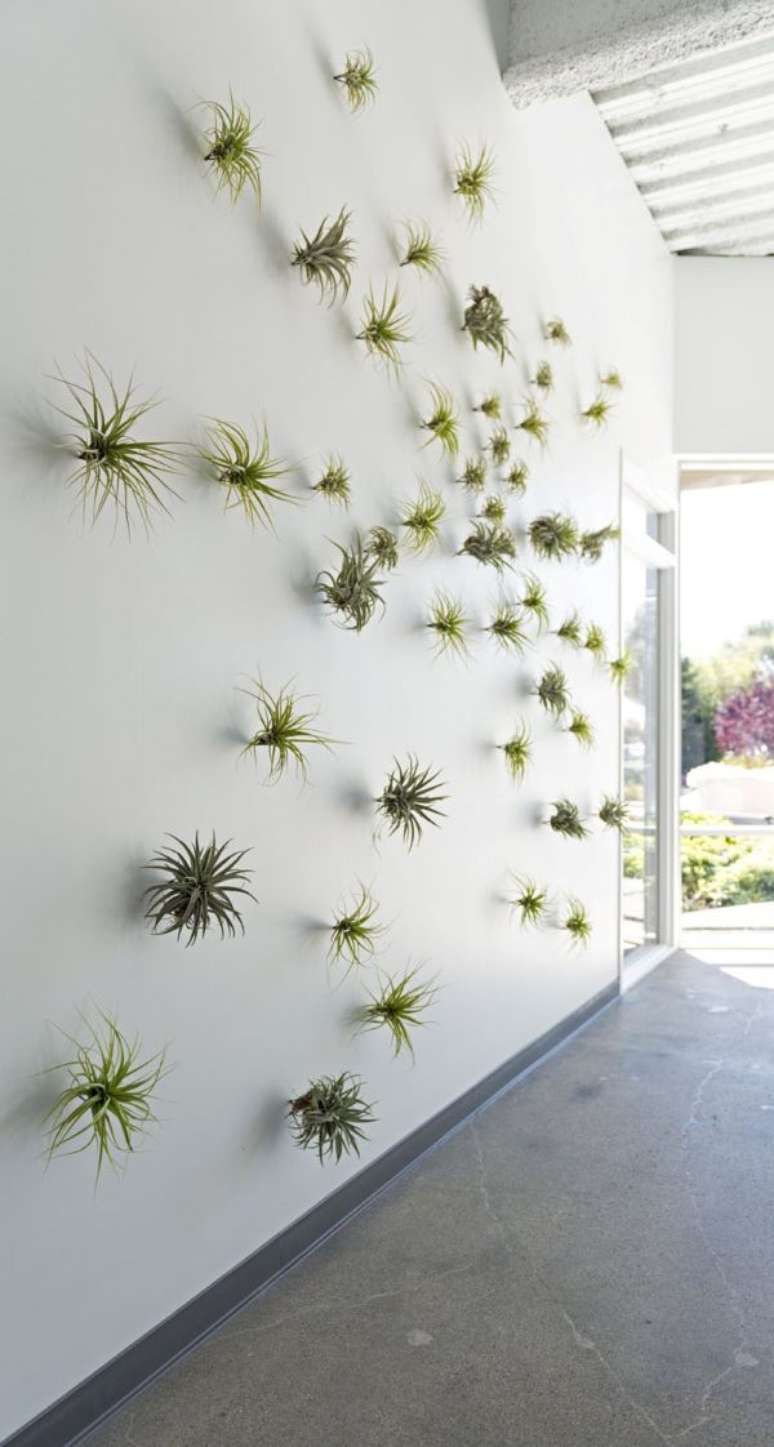 17. Parede decorada com plantas aéreas – Foto Jasper Sanidad Design Studio o+A