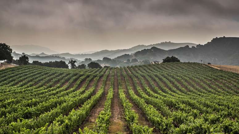 A agricultura representa 70% do uso de água doce do planeta