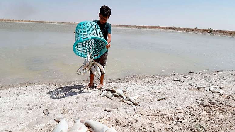 Represas construídas pela Turquia reduziram o fluxo de água até o Iraque