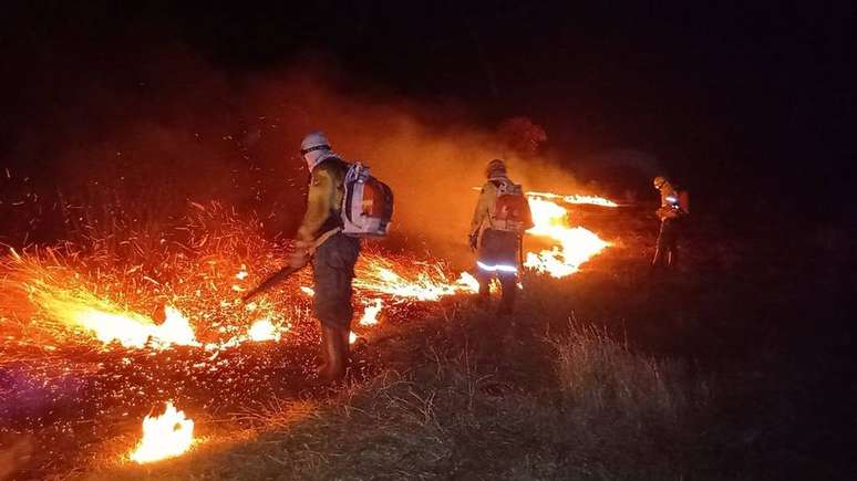 Imagem divulgada pelo Ibama mostra combate a incêndio em terra indígena