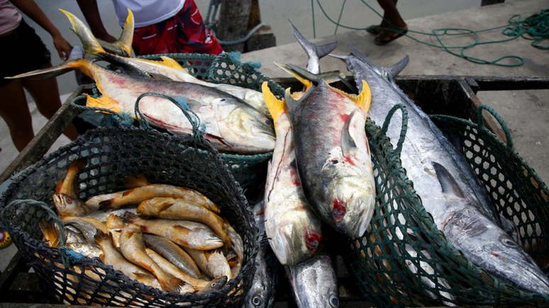 Relacionada com uma toxina encontrada em peixes e crustáceos, a doença de Haff é rara, mas tem causado alguns surtos no Brasil nos últimos cinco anos