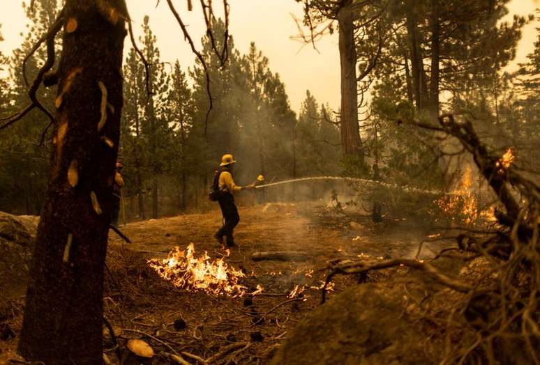 Bombeiros combatem chamas de incêndio florestal na Califórnia
31/08/2021
REUTERS/Aude Guerrucci