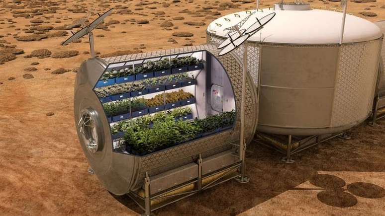 Há projetos de cultivo de plantas em estufas no solo marciano em estudo