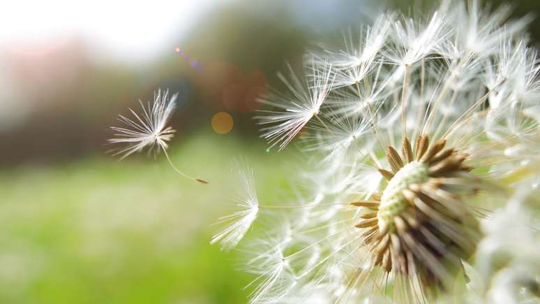 "Para mim, a natureza parece incrivelmente linda e com frequência, quando estudo o universo, vejo que ela está controlada pelas mesmas leis de física em todas as partes. As leis que descobrimos em laboratório se aplicam a todo o universo", diz Loeb