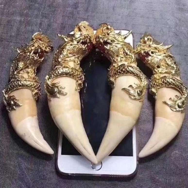 As presas de on&ccedil;a s&atilde;o vendidas na China como presas de tigres