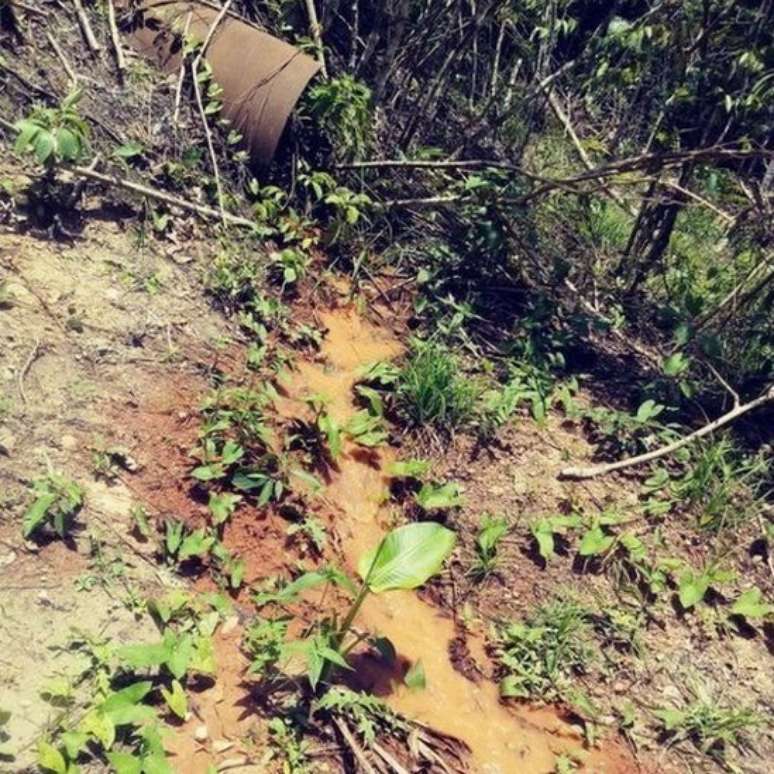 Laudo do Instituto Evandro Chagas apontou exist&ecirc;ncia de tubula&ccedil;&otilde;es da Alunorte, derramando &aacute;gua n&atilde;o tratada
