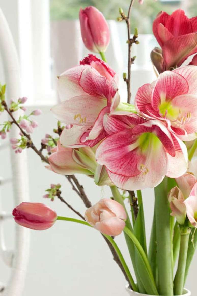 32. Vaso com flores amarílis e tulipas cor de rosa – Foto Gardenia
